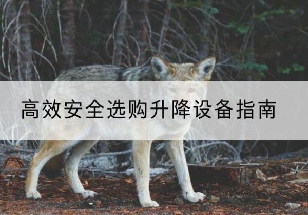 桐城升降货梯厂家推荐-*安全选购升降设备指南