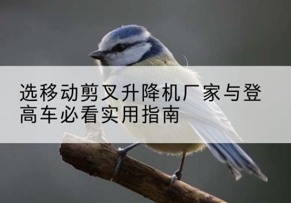 桐城电动升降机厂家-选移动剪叉升降机厂家与登高车必看实用指南